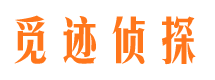 盘龙外遇调查取证